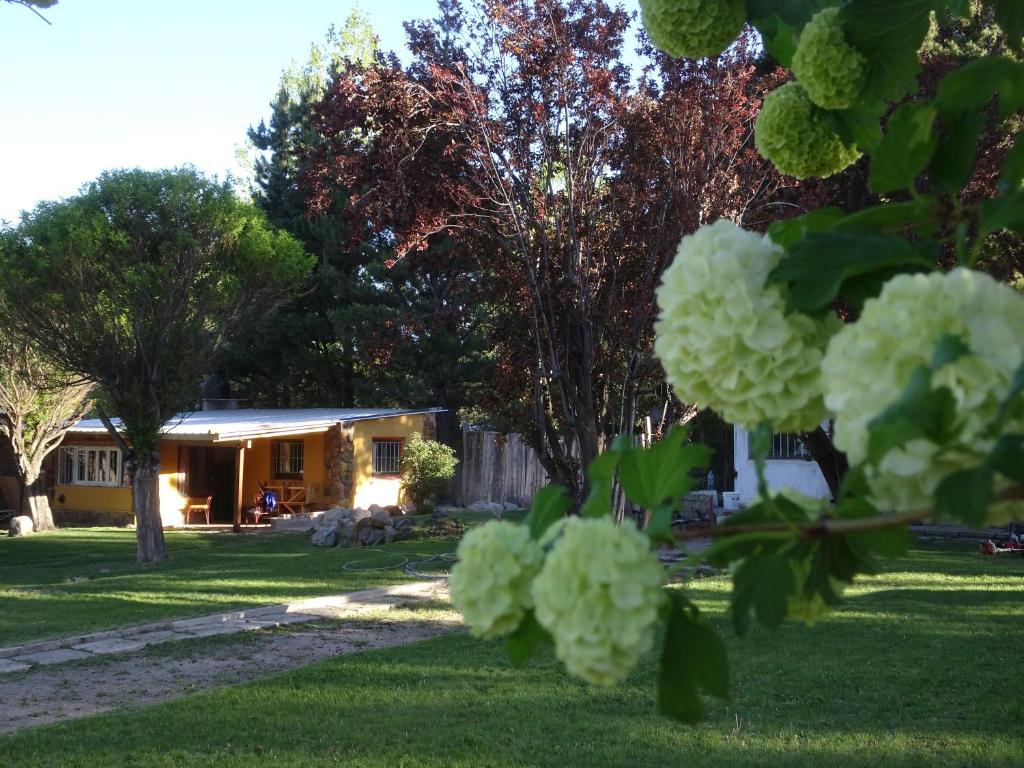 波特雷里约斯CABAÑAS RINCON DEL PLATA的一座有树木和白色花卉的房屋