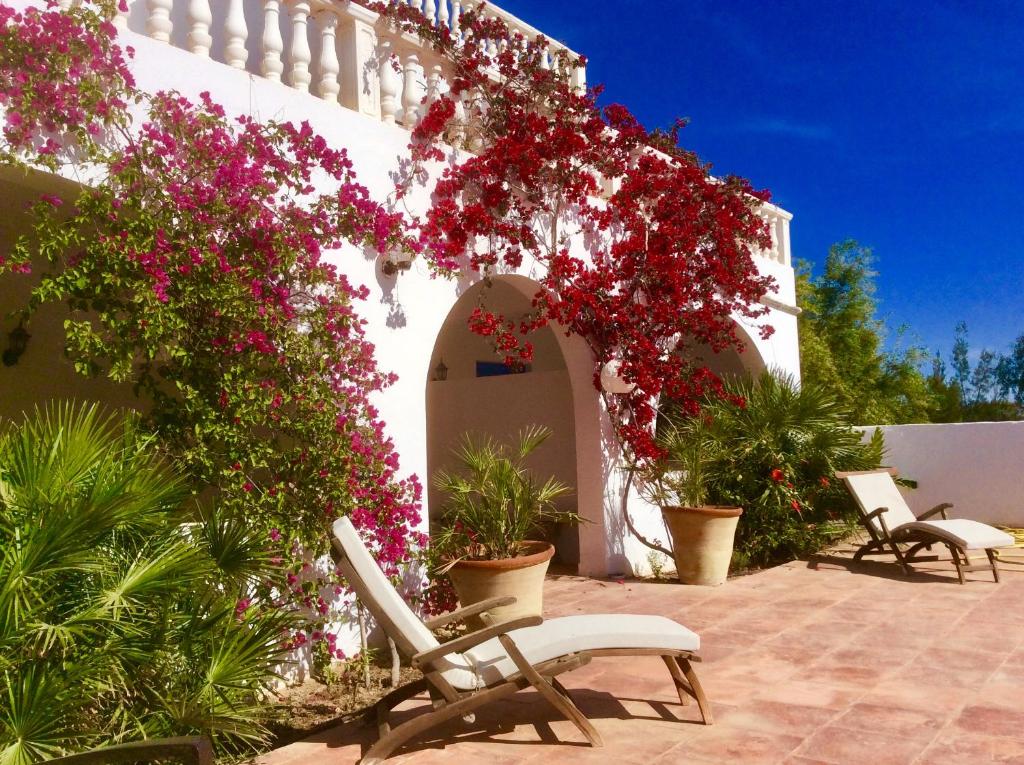 杰尔吉斯Maison d'Hote Domaine El-Manar的一座种有鲜花和椅子的庭院和一座建筑