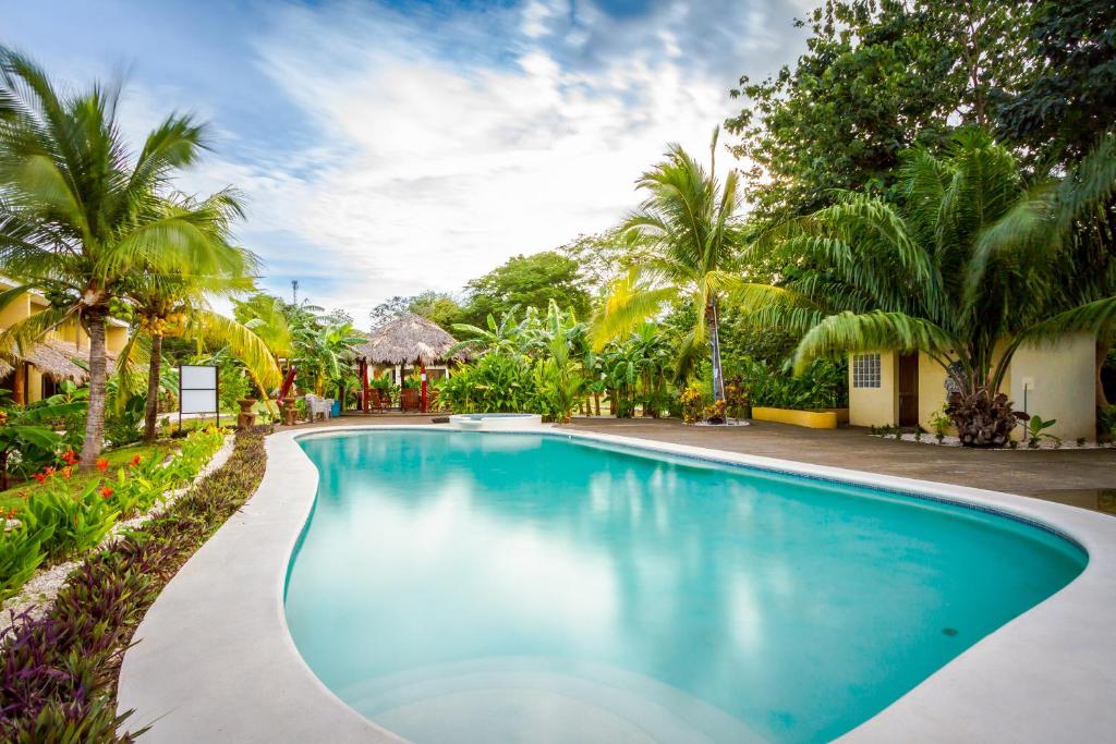 格兰德海滩Cabo Velas Estates的棕榈树度假村内的游泳池