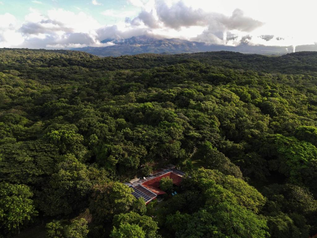 Curubandé卡萨鲁拉阿罗玛坎普酒店的森林的空中景观,中间有房子