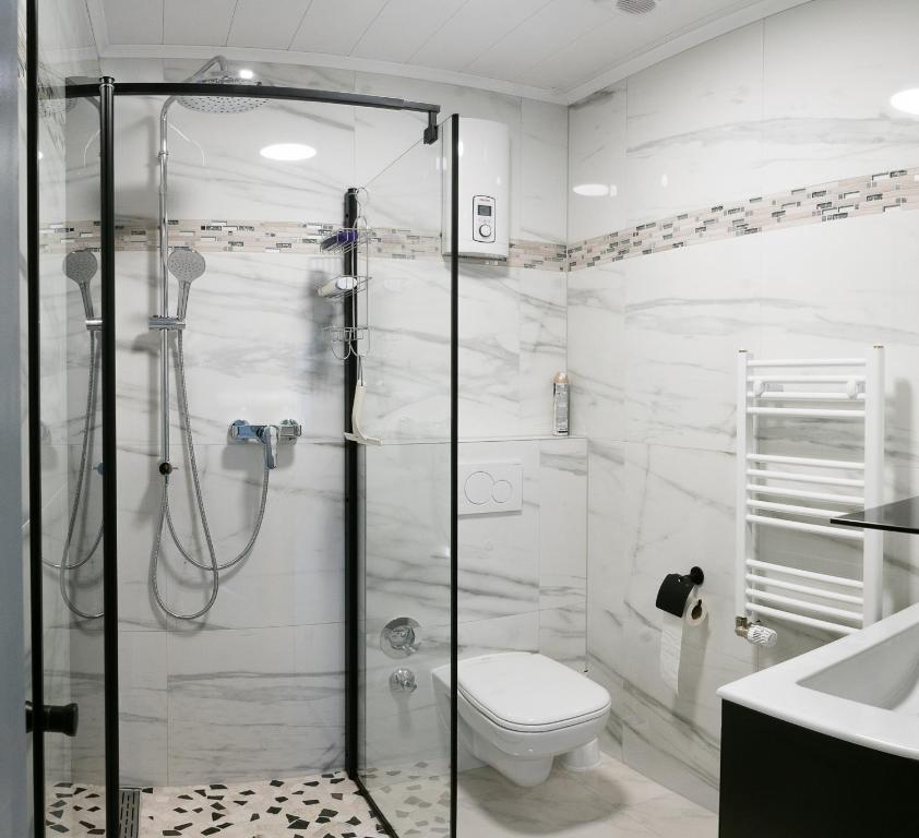 达姆施塔特茵恩斯塔德特纳赫公寓民宿的带淋浴、卫生间和盥洗盆的浴室