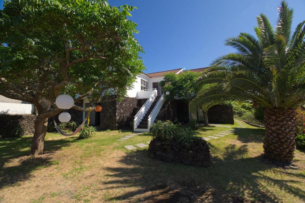 马达莱纳epicenter PICO的院子里有棕榈树的房子
