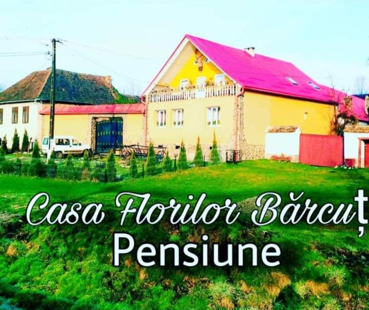 BărcuţCasa Florilor Barcut的田野上带粉红色屋顶的黄色房子