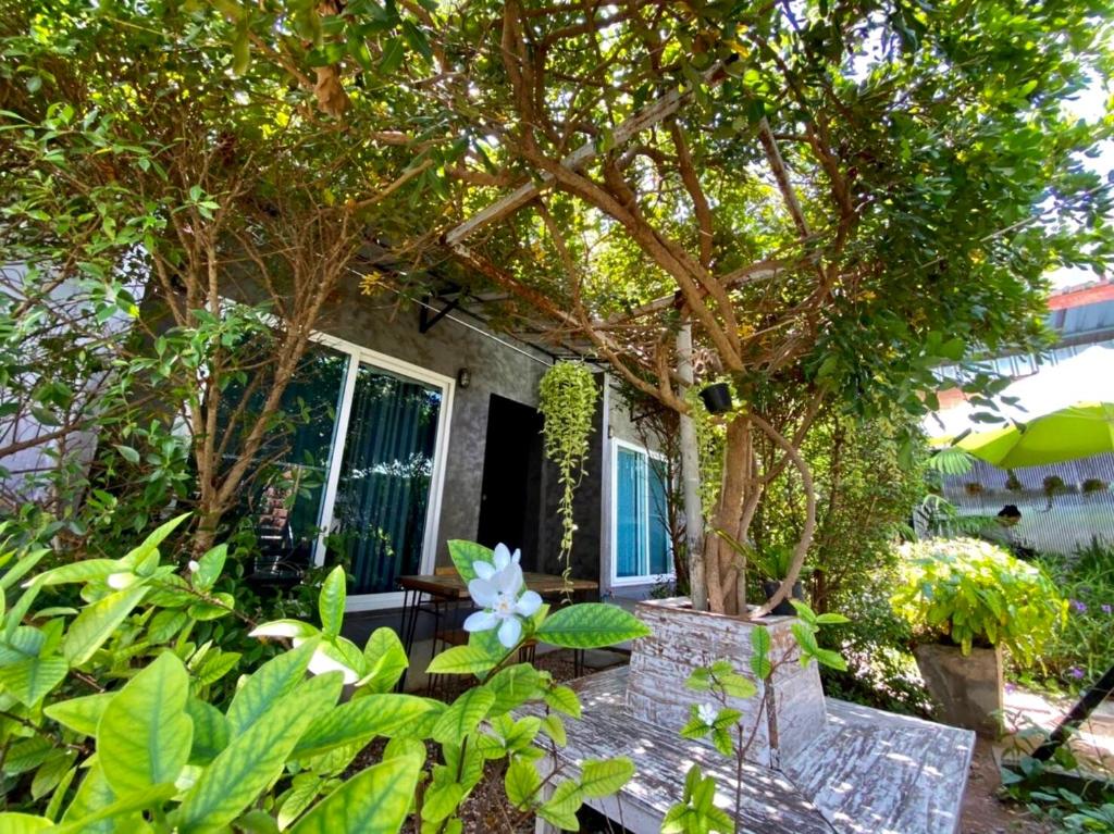 格兰岛萨曼塔滨海旅馆的树下的房子,配有桌椅