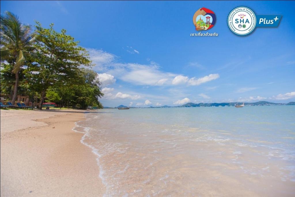 拉威海滩Blue Beach Grand Resort And Spa SHA Plus的一片种满树木的沙滩和大海