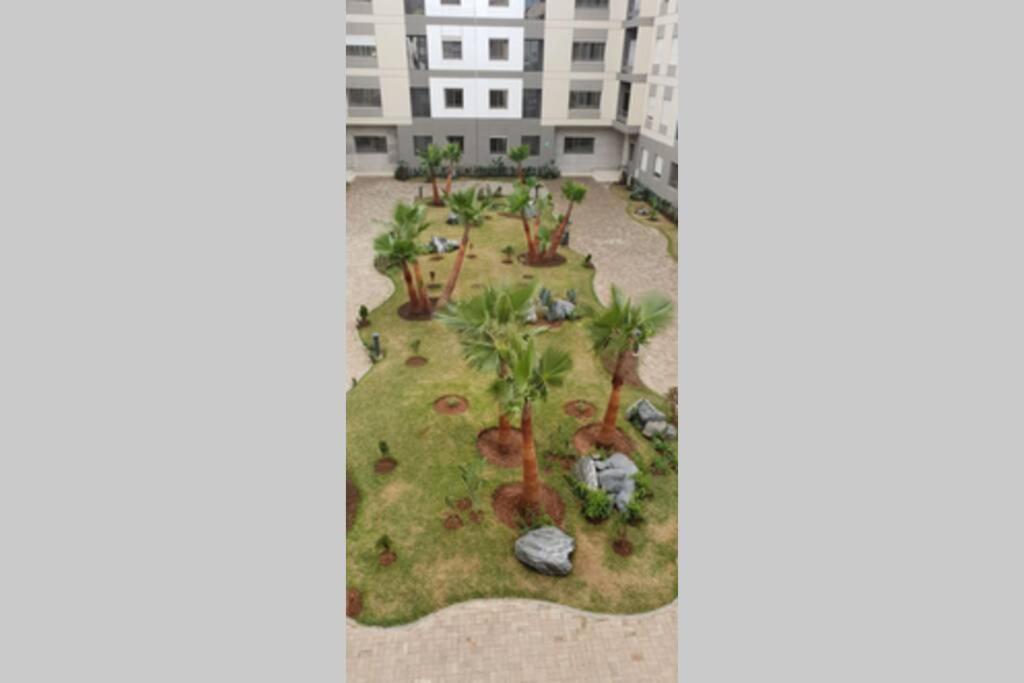 诺阿瑟Apartment Near & close to Casablanca Mohammed V International Airport的享有大楼庭院的景色