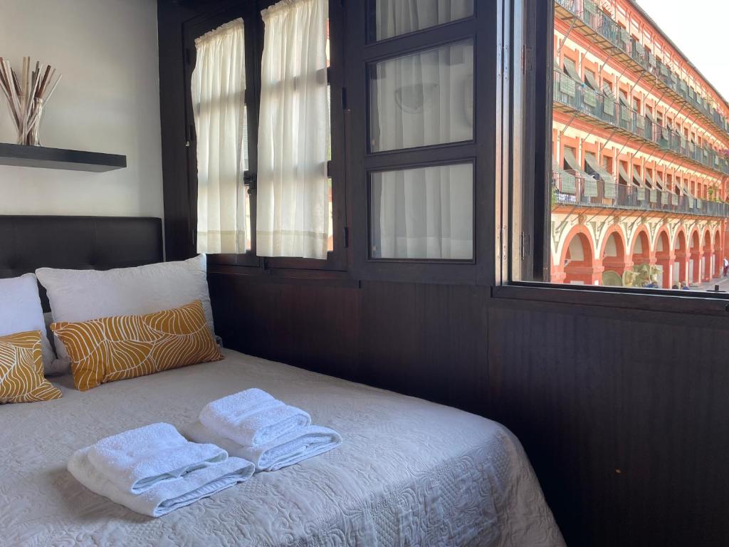 科尔多瓦科雷拉广场公寓的窗户间里一张带毛巾的床
