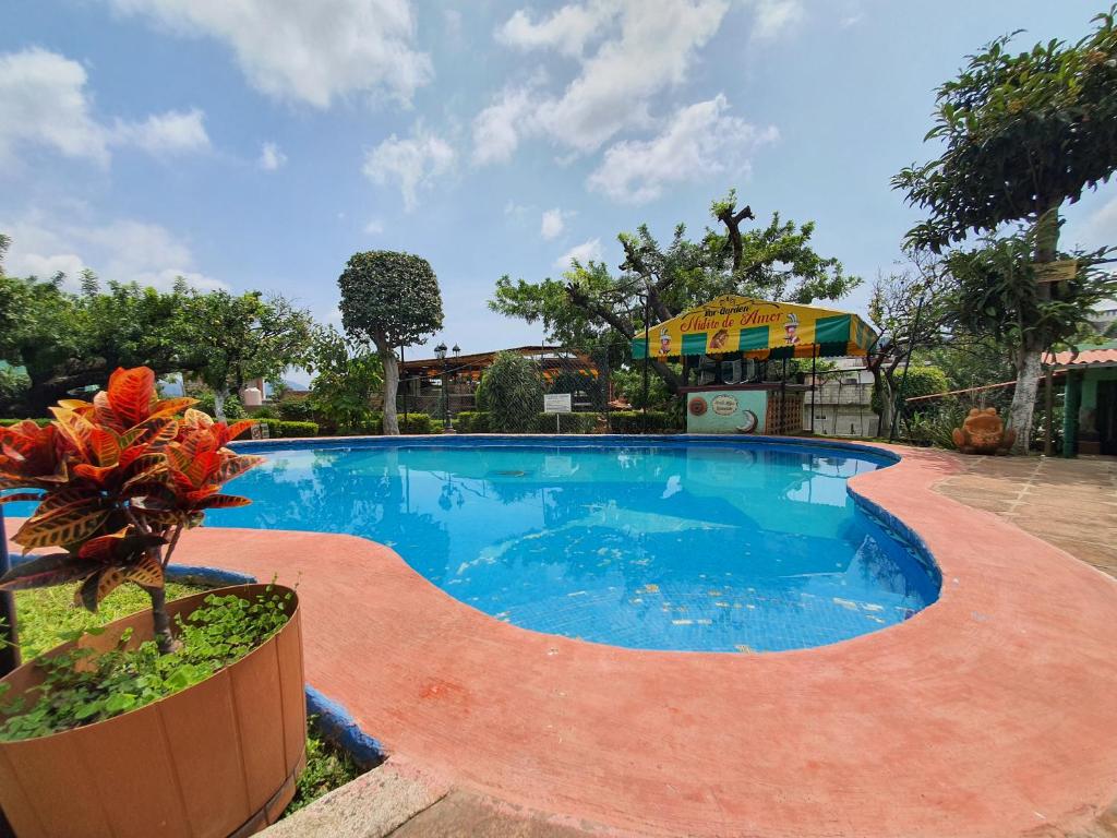 迪坡斯特兰Posada El paraíso的一座大型游泳池旁有盆栽植物