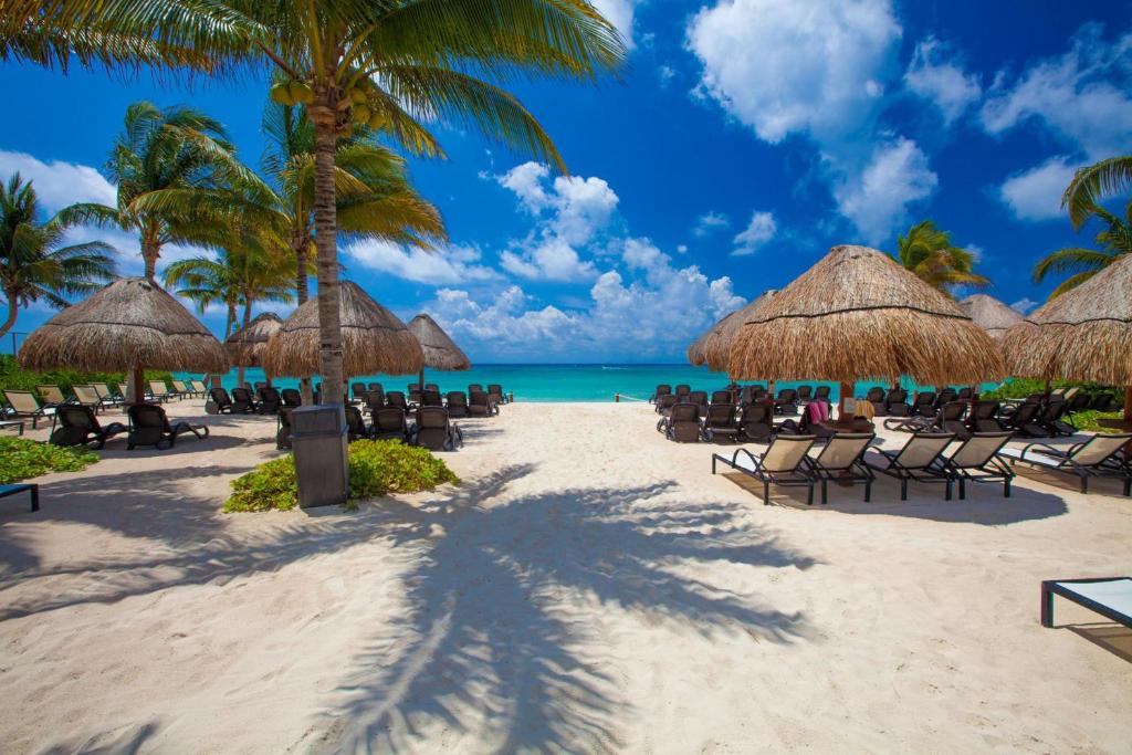 普拉亚卡门The Elements Oceanfront & Beachside Condo Hotel的海滩上设有椅子和遮阳伞,还有大海
