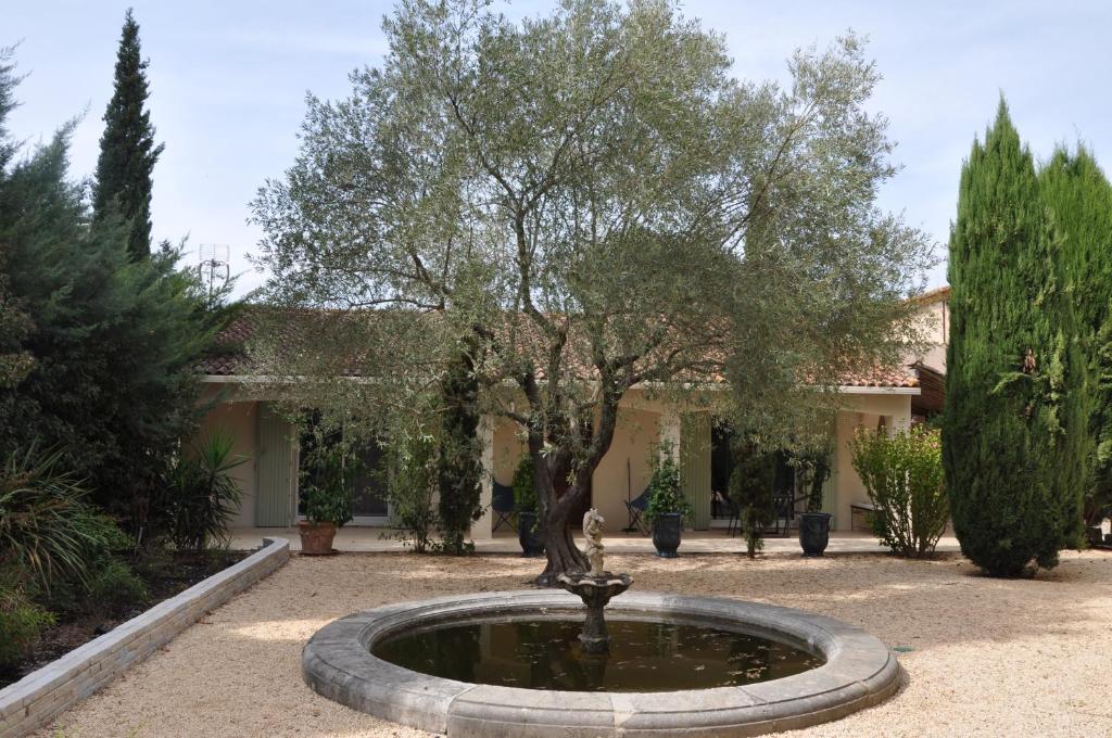 蒙彼利埃Chambres d'hôtes sous l'olivier的庭院中间有树的喷泉