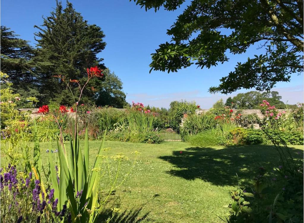 ShapwickThe Potting Shed, self contained, detached retreat in Shapwick village的阳光明媚的日子里,花园内种有鲜花和树木