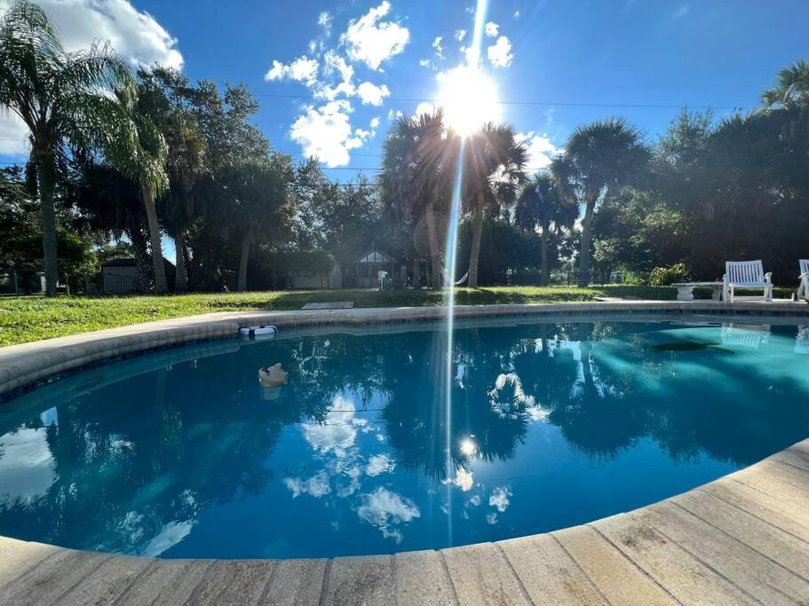 墨尔本Pool house with one of a kind Garden的庭院中一个带喷泉的游泳池