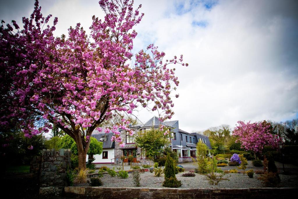 基拉尼凯思林乡间别墅酒店的房子前有粉红色花的树