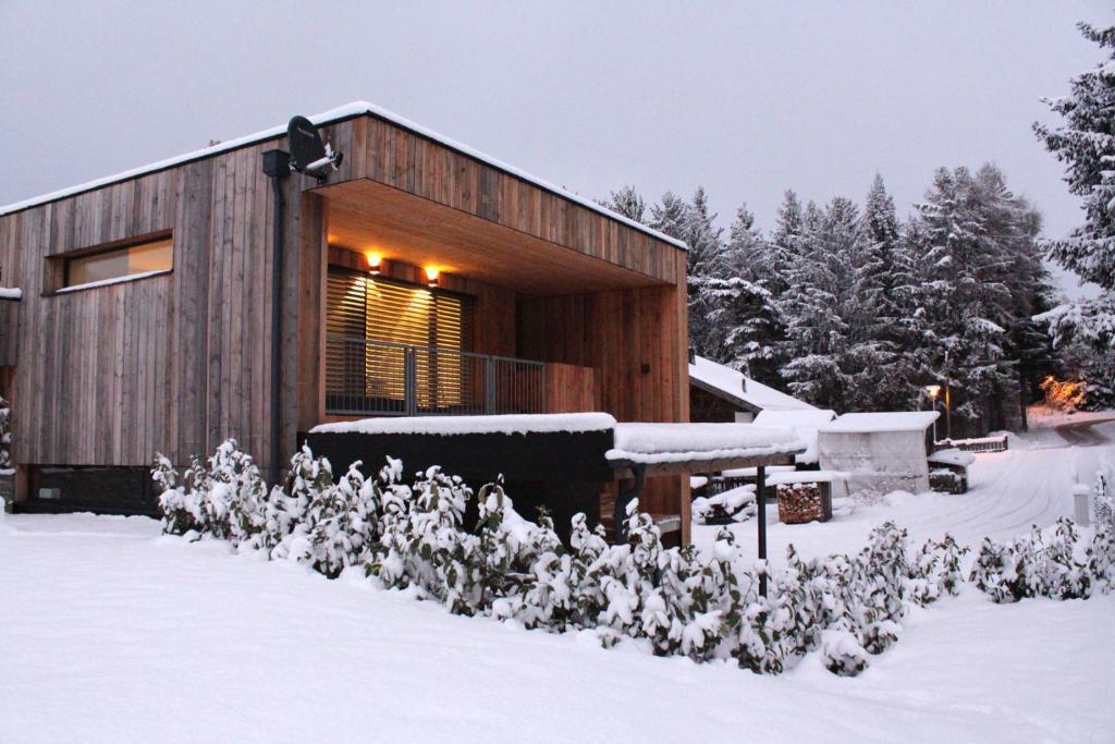 因斯布鲁克Chalet M&M的雪中树木林立的木屋
