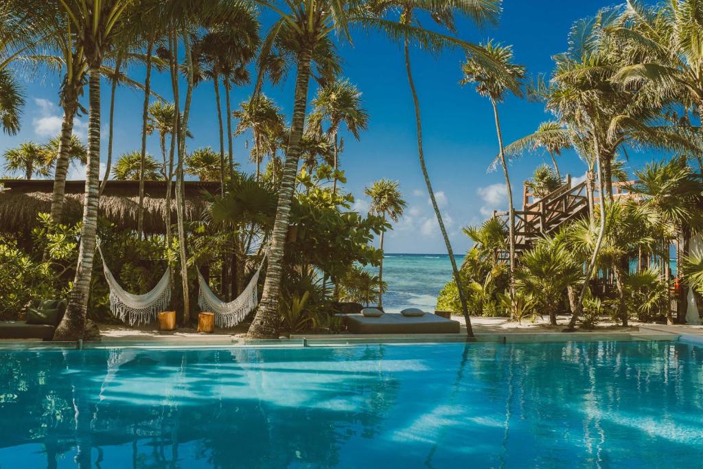 图卢姆哈西塔酒店的一座棕榈树和海洋游泳池
