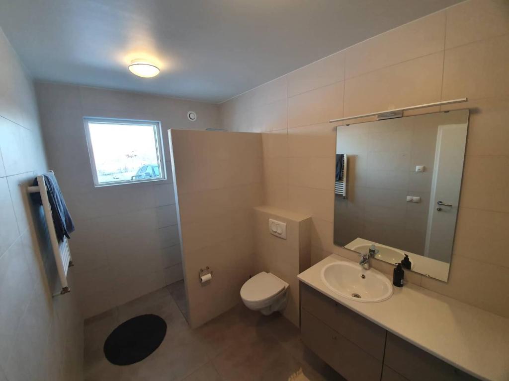 Mývatn apartments的一间浴室