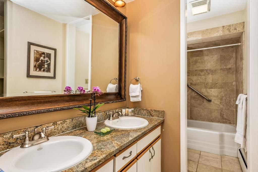 阿斯潘Standard 2 Bedroom - Aspen Alps #115的浴室设有2个水槽和镜子