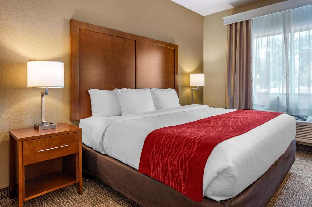 拉波特拉波特快捷假日酒店的一间设有大床和窗户的酒店客房