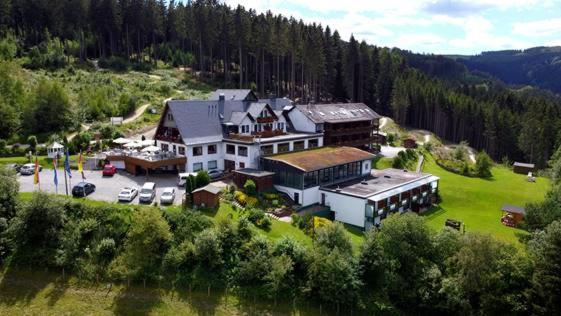 维林根维林森林酒店的享有高山上大房子的空中景色