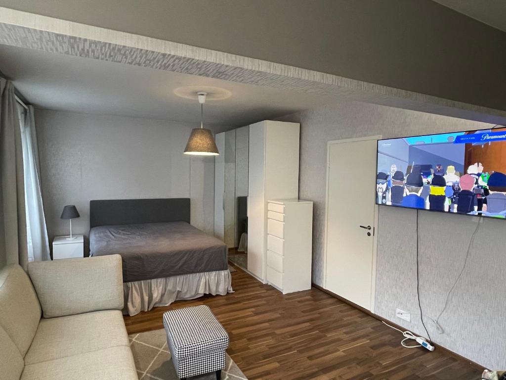 图尔库Apartment in Turku center的客厅配有床和平面电视