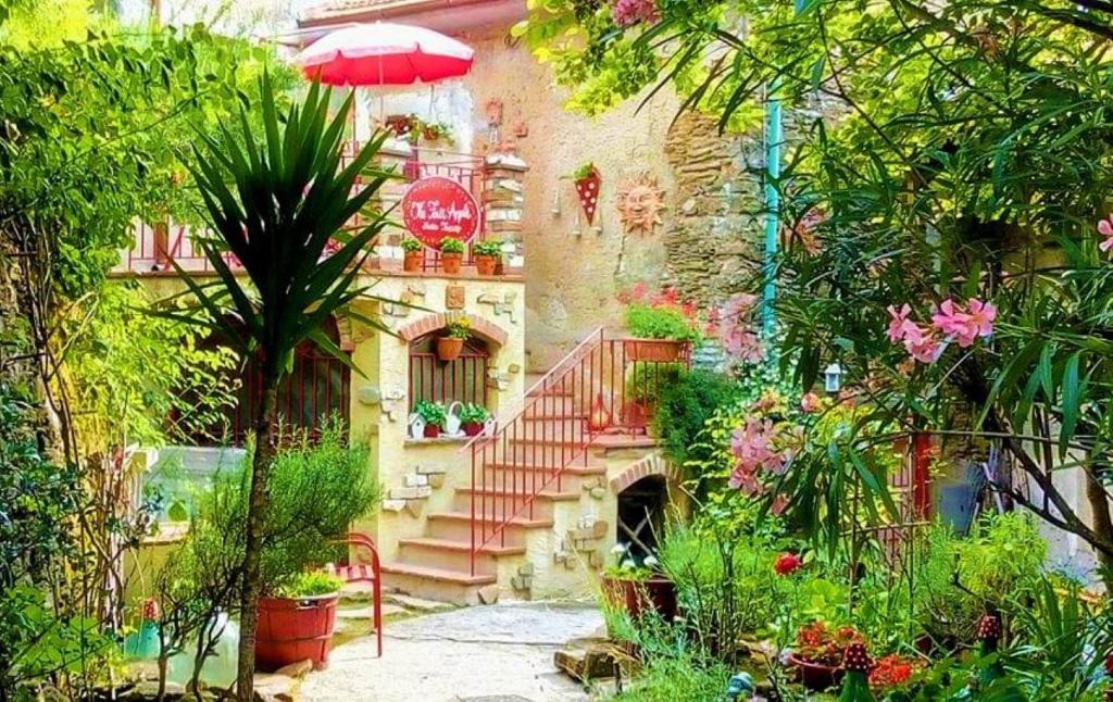 马萨The Four Angels的一座带楼梯的花园以及一座种植了植物的建筑