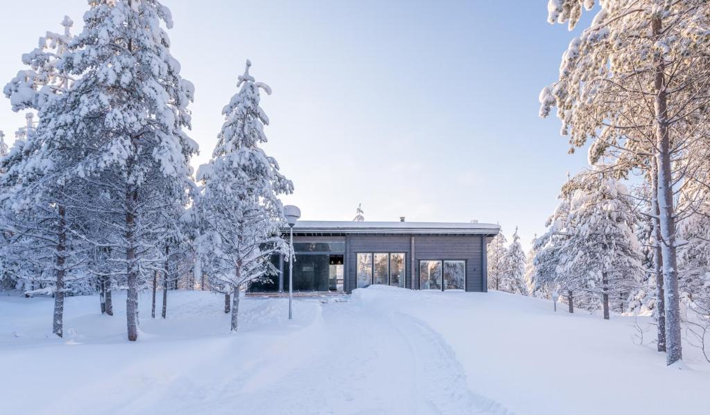鲁卡Rokovan Helmi - Natural peace in Ruka-Kuusamo的雪中的房子,前面有树木