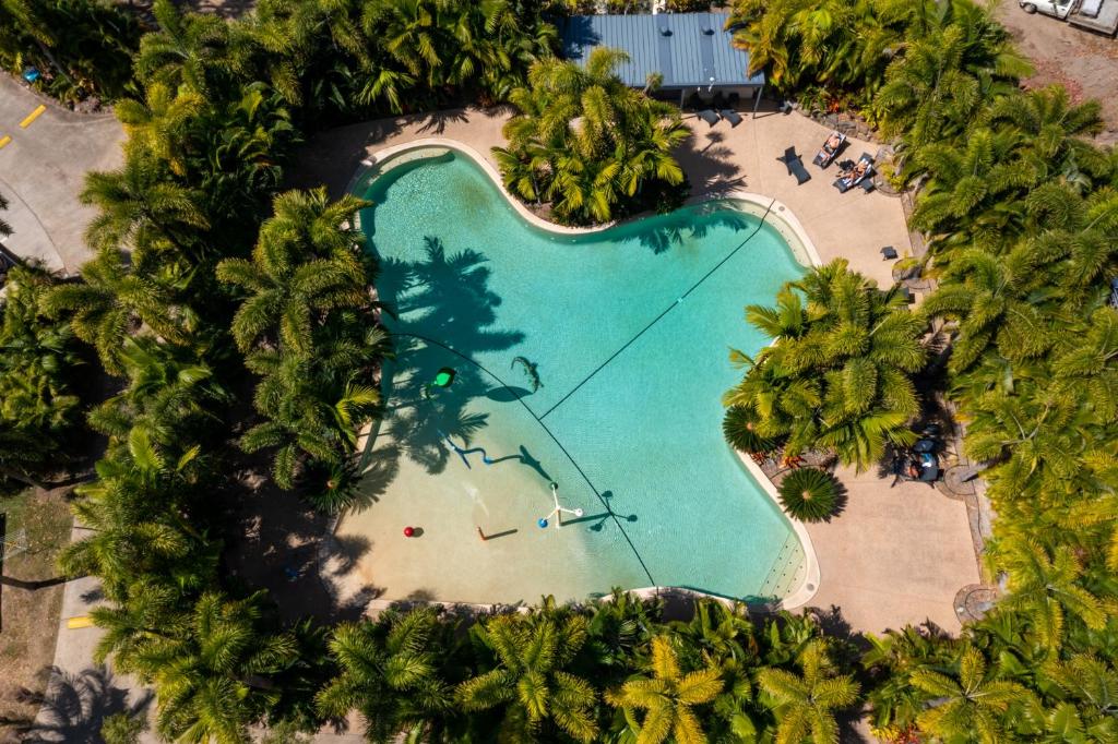 埃尔利海滩NRMA Airlie Beach Holiday Park的享有棕榈树游泳池的顶部景致