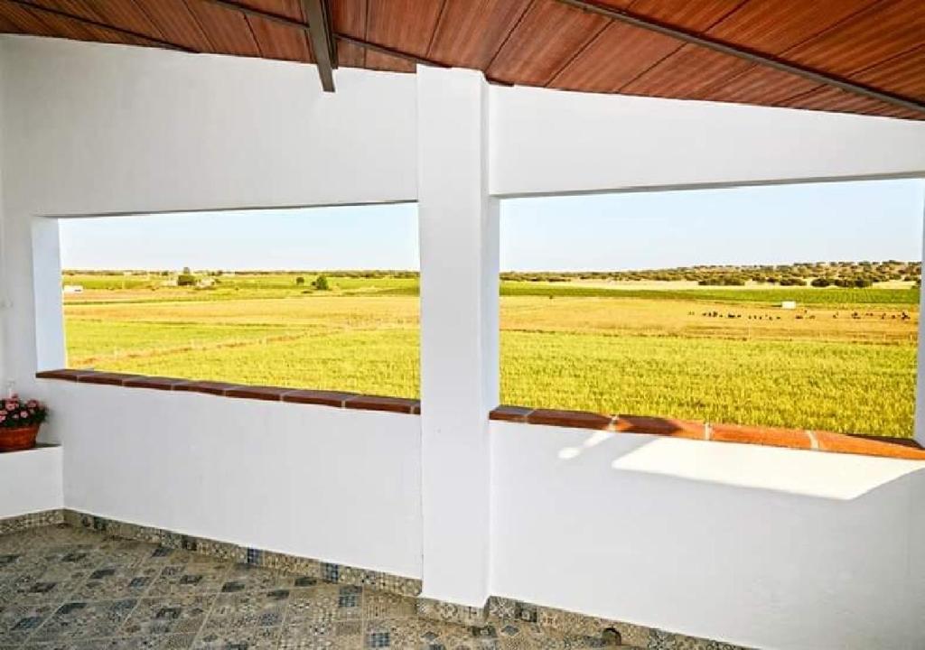 雷根古什-迪蒙萨拉什Casa Coração Alentejano- Casas com EnCanto的客房设有一个享有田野景致的窗户。