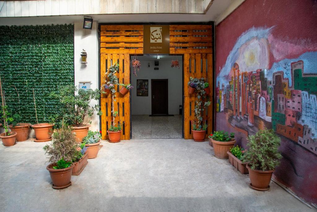 安曼安曼安蒂卡酒店的墙上挂着盆栽植物和画作的走廊