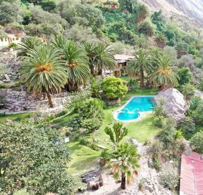 卡瓦纳科德Paraiso Las Palmeras Lodge的享有带游泳池的度假村的空中景致