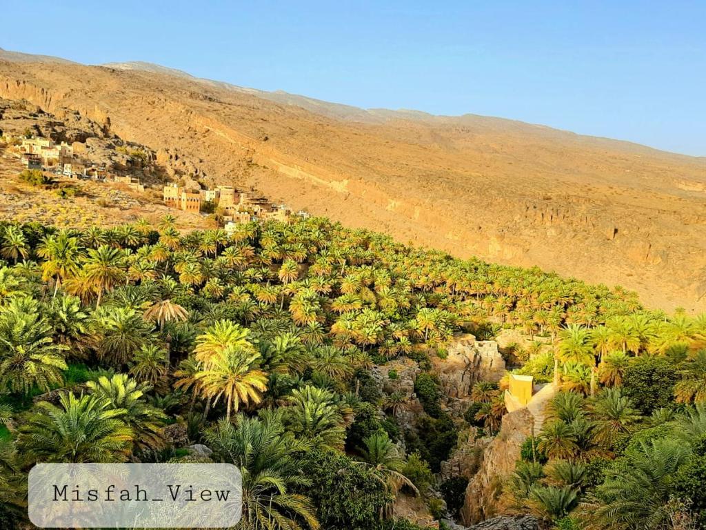 MisfāhMisfah View的享有棕榈树山和山脉的景色