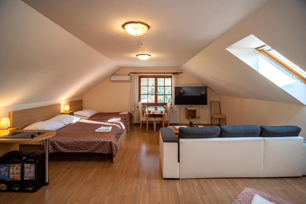 米库洛夫Apartmán a ubytování U Machů的一间卧室配有一张床、一张沙发和一台电视。