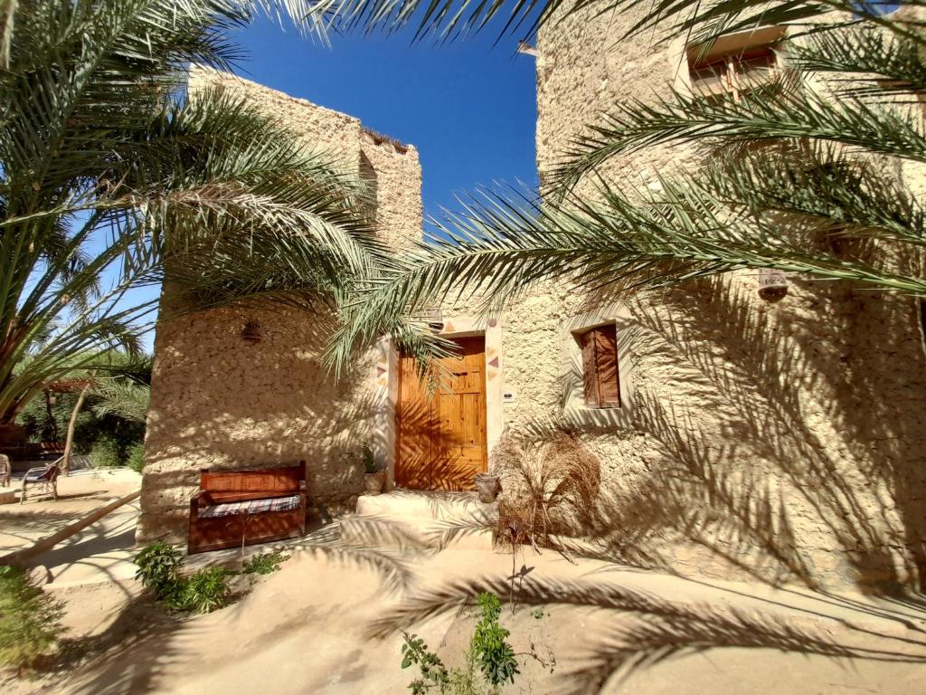 锡瓦Sleep In Siwa的一座石头房子,设有木门和棕榈树