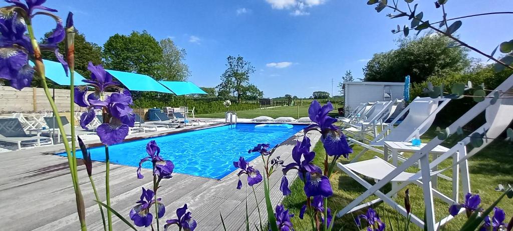 赫拉尔兹贝亨Vakantievilla - B&B Blue Garden Vlaamse Ardennen的一个带白色椅子和紫色鲜花的游泳池