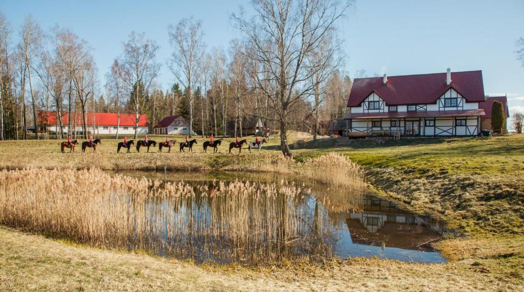 KaplavaZirgu sēta "Klajumi" - Horse ranch "Klajumi"的一群马在房子旁边的田野里散步