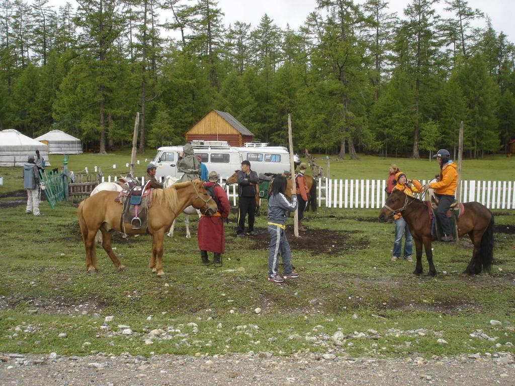 乌兰巴托阳光之路蒙古之旅旅舍的一群在田野里骑马的人