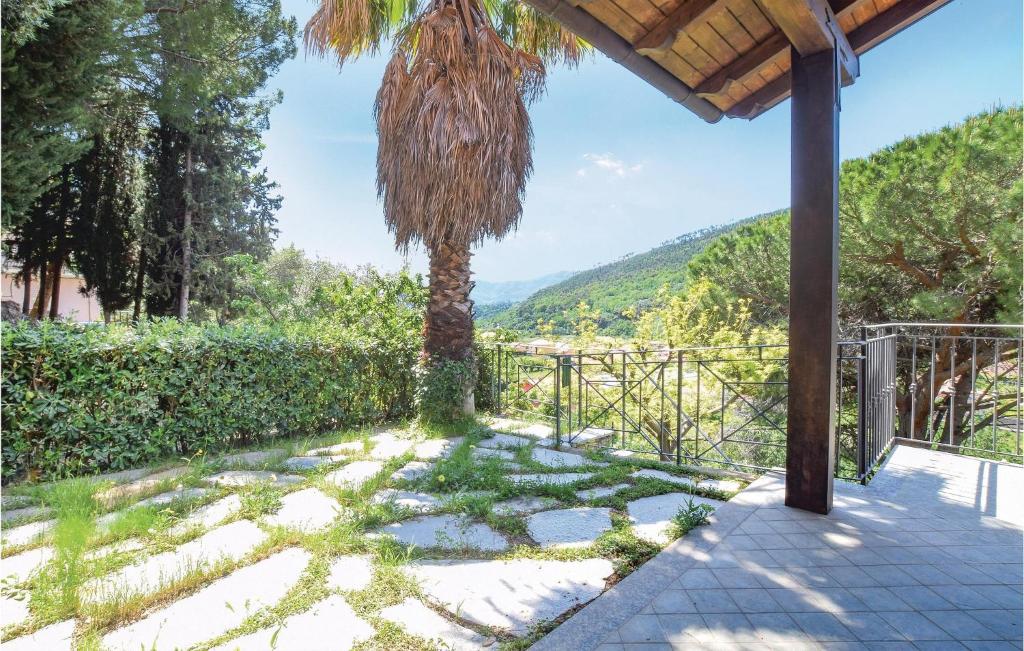 Cisano sul NevaCasa Laura的一个带棕榈树和围栏的庭院