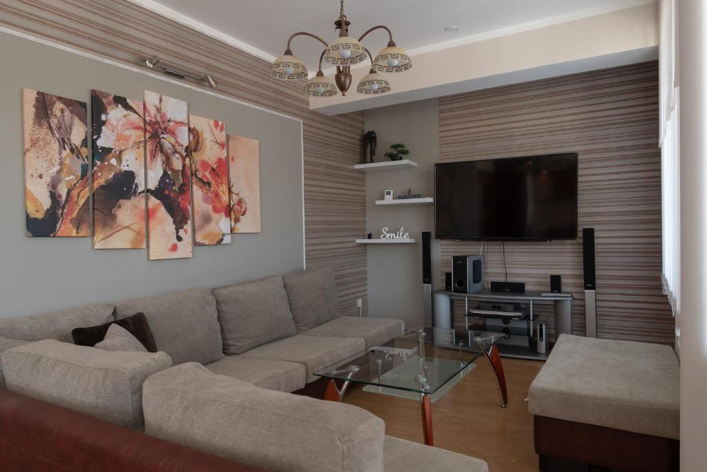 大特尔诺沃Apartment Veda的带沙发和平面电视的客厅