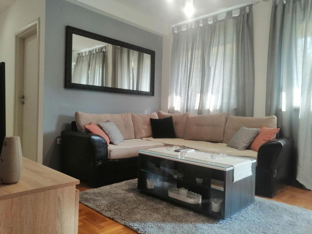 斯雷姆斯卡米特罗维察Apartman River的带沙发和咖啡桌的客厅