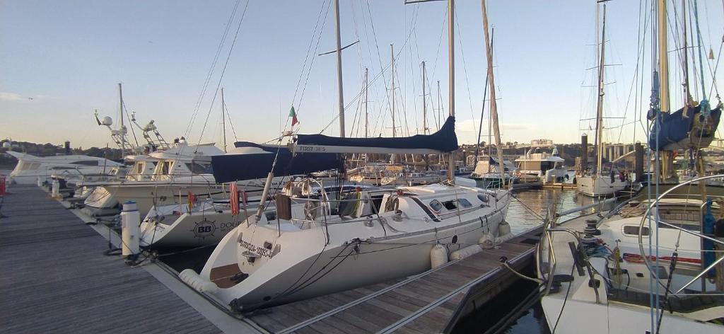 加亚新城Yatch Barracuda Douro Marina Boat Sleep Experience的停靠在码头的一组船