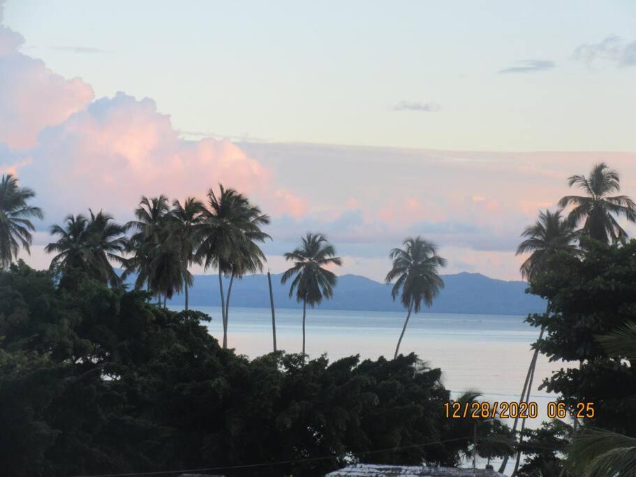 圣塔芭芭拉-山美纳Pelicano Tropical Paraiso Samana的一群棕榈树在海洋前