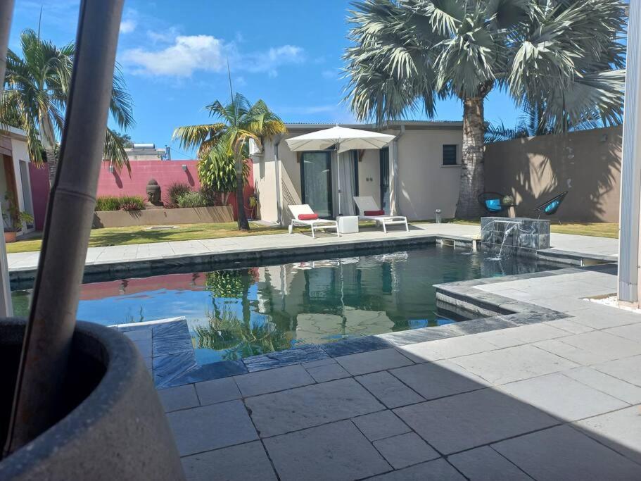 圣路易斯CALME ET SERENITE A LA RIVIERE的一座棕榈树游泳池和一座房子