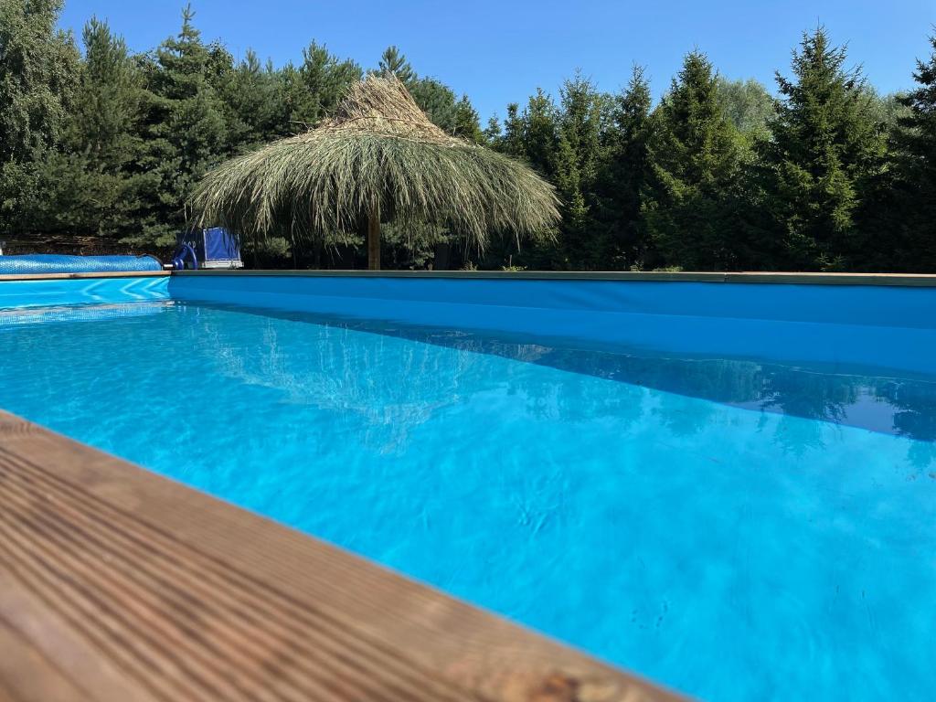 杰泽扎尼Rybakówka Nad Jeziorem Wicko的蓝色的游泳池,带茅草屋顶