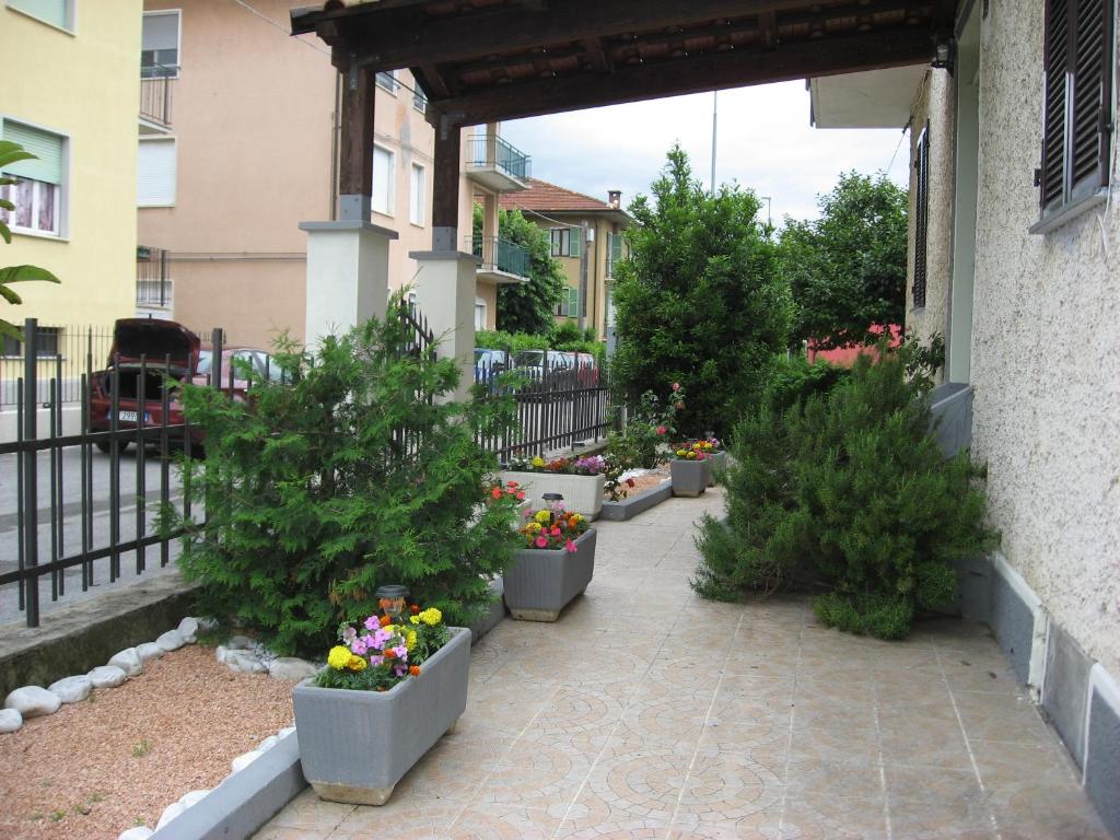 蒙多维布鲁诺之家住宿加早餐旅馆的种有树木和花盆的庭院
