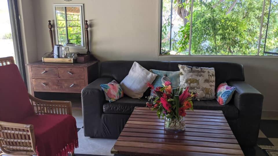 卡萨内Sunbirds Cottage的客厅配有沙发、枕头和桌子