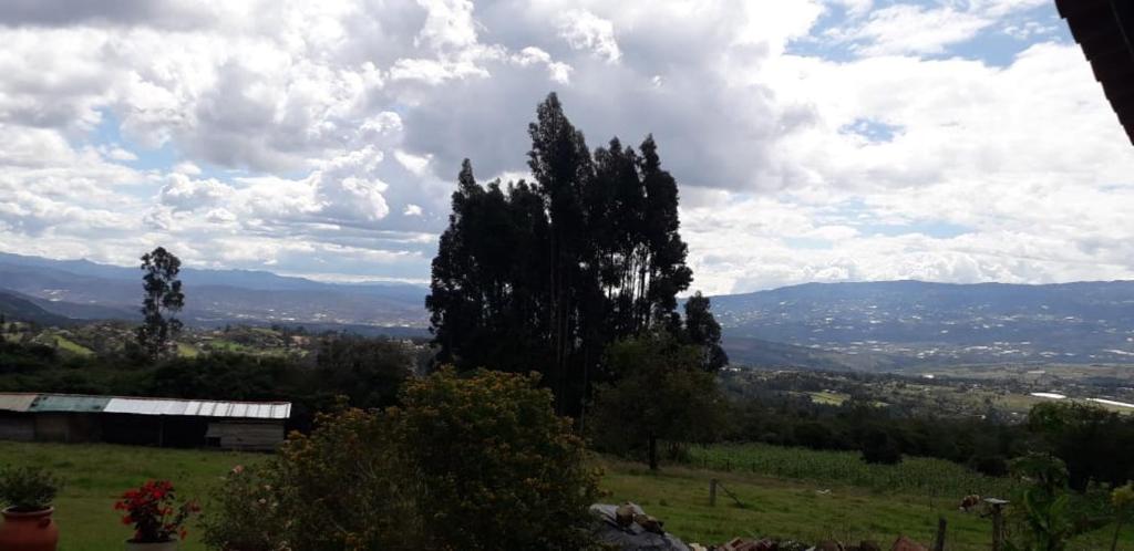 La CapillaCabaña El Mirador M&G的享有树木和山脉的田野景色