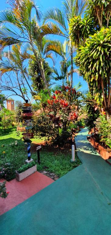 伊瓜苏港Hospedaje Jose Gorgues的种有棕榈树和步道的花园