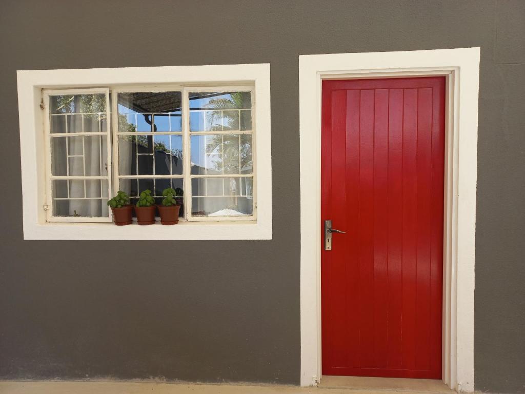 龙杜Urban Farm Haus Homestead的红门和种有盆栽植物的窗户