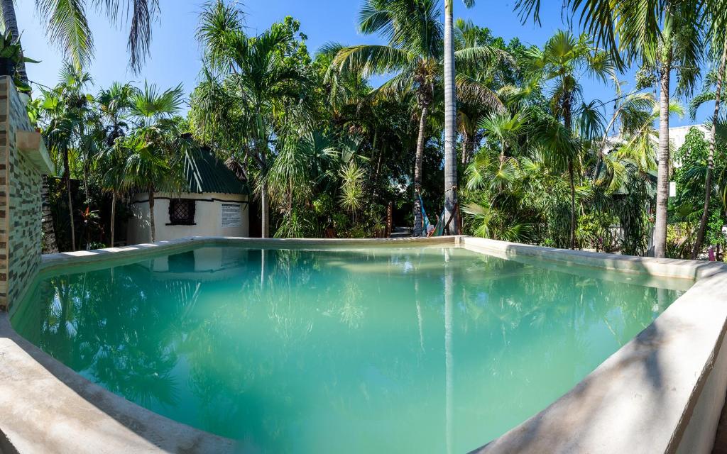 图卢姆Hostel Oryx Tulum的一座拥有蓝色海水和棕榈树的游泳池