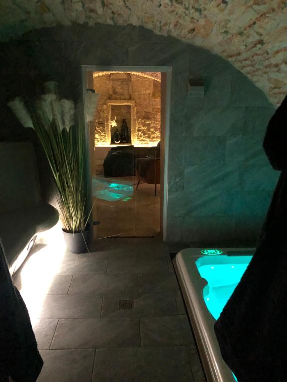 南希jaccuzi & spa des caves Stanislas的客房内带热水浴缸的浴室